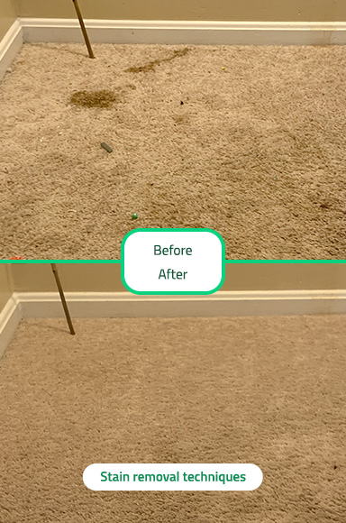 Carpet Cleaning Carpet Cleaning